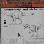 Terrazas Tazones