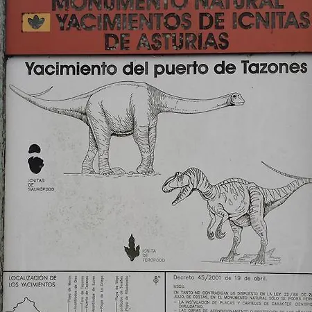 Terrazas Tazones
