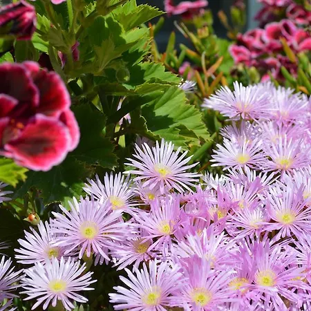 Hotel Terrazas Tazones